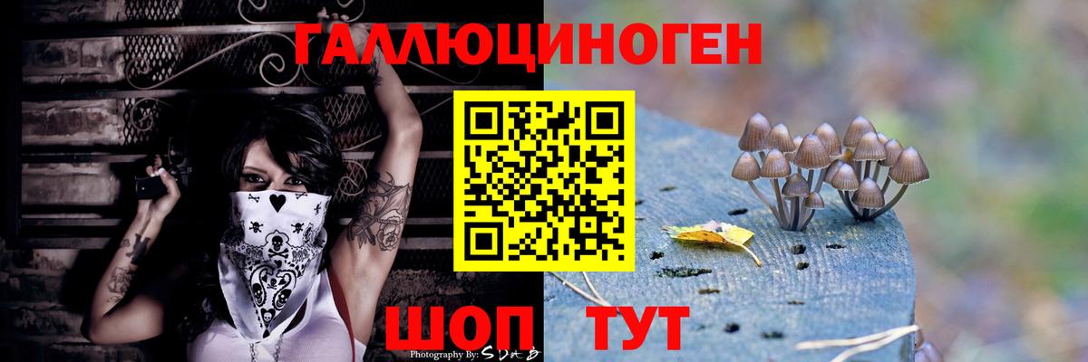Галлюциногенные грибы GOLDEN TEACHER Батайск
