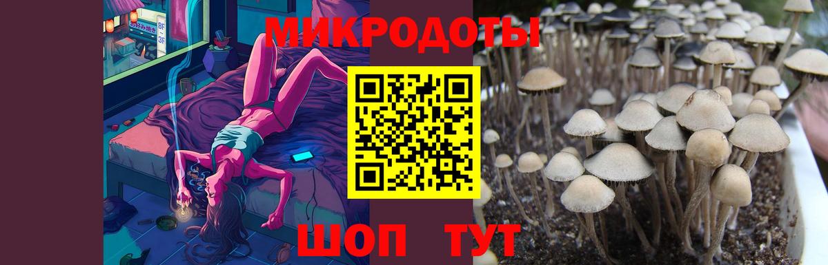 Батайск  Псилоцибиновые грибы MAGIC MUSHROOMS  Вход с VPN  Галлюциногенные грибы мицелий 